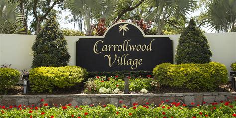 Sex dating Carrollwood Village